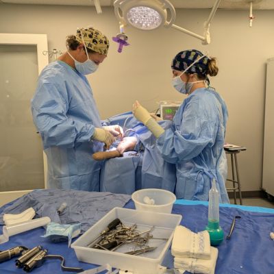 Dr. Nunley and Bailey in Surgery