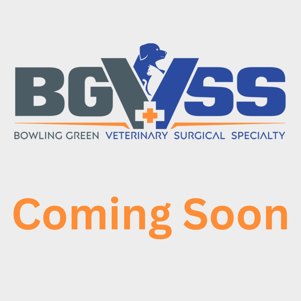 coming soon Coming Soon
