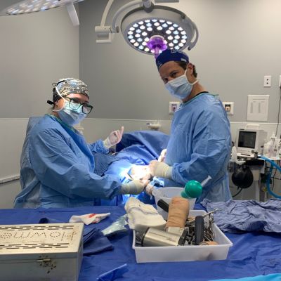 Vets doing surgery of a pet
